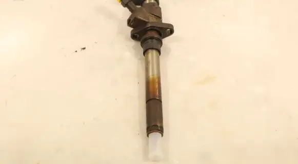 Peugeot 407 Fuel injector 9658194180