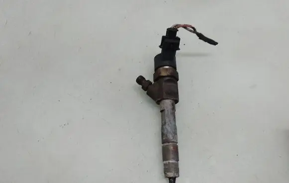 Renault Trafic II (X83) Fuel injector 0445110146
