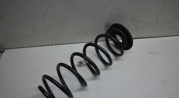 Rear coil spring
