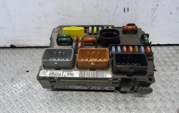 Citroen C3 Picasso Fuse box set 9667199580