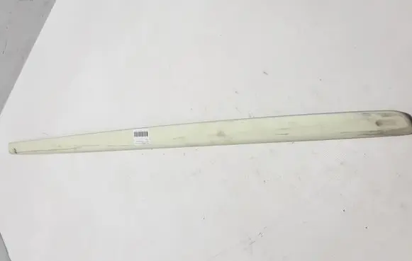 Renault Twingo II Front door trim (molding) 8200365841