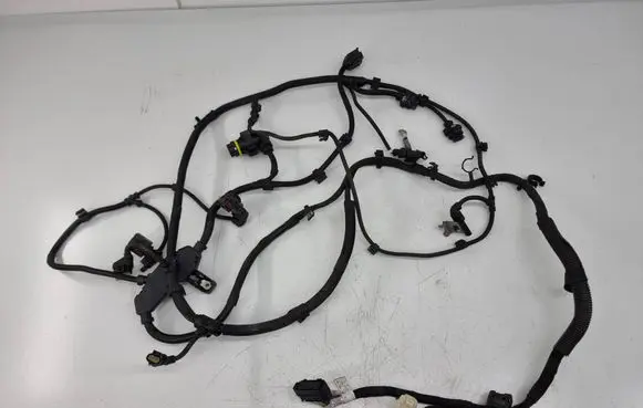 Other wiring loom