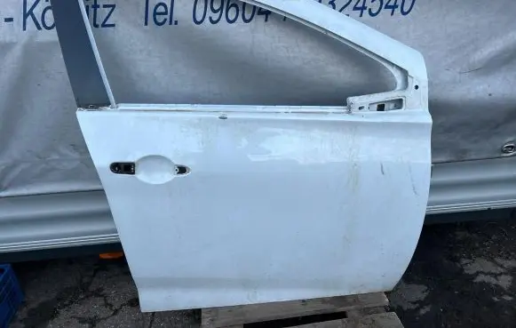 Renault Zoe Front door 801106450R