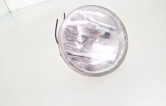 Chevrolet Captiva Front fog light 948415