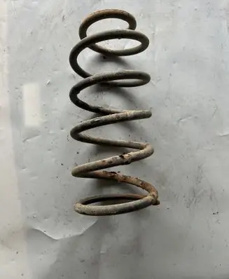 Rear coil spring
