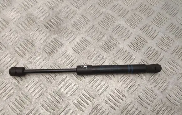 BMW X3 G01 Front bonnet/hood damper/strut 7397493