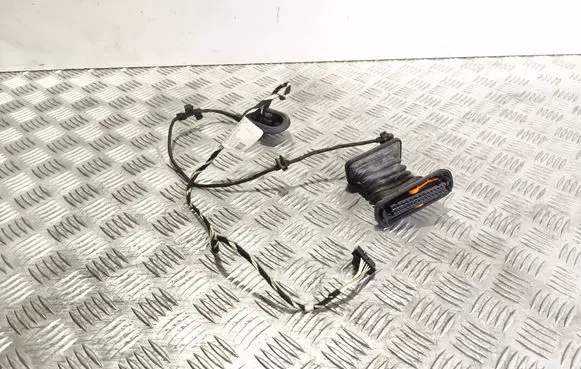Rear door wiring loom