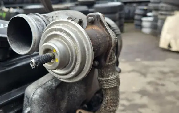 Volkswagen PASSAT B5 EGR valve 028131501E
