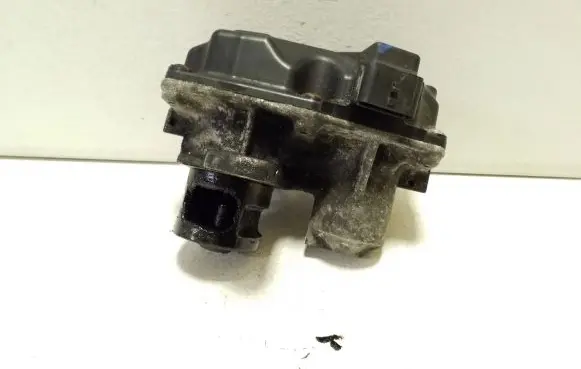 EGR valve
