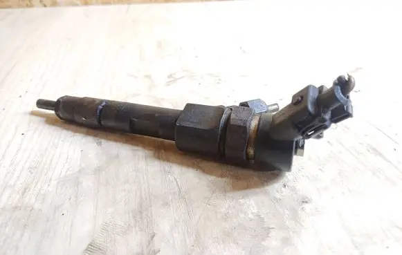 Renault Scenic II - Grand scenic II Fuel injector 0445110021