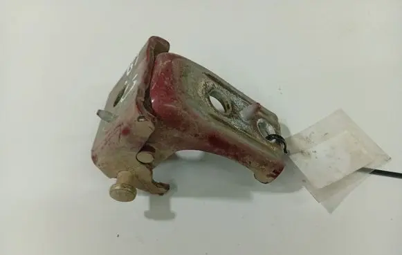 Peugeot 407 Rear door lower hinge 