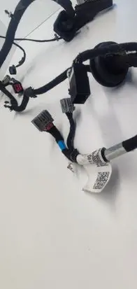Front door wiring loom