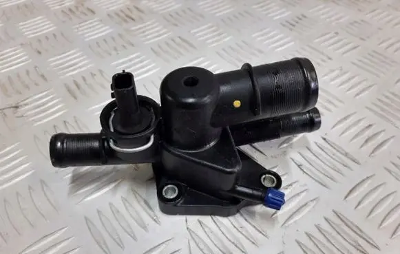 Thermostat/thermostat housing