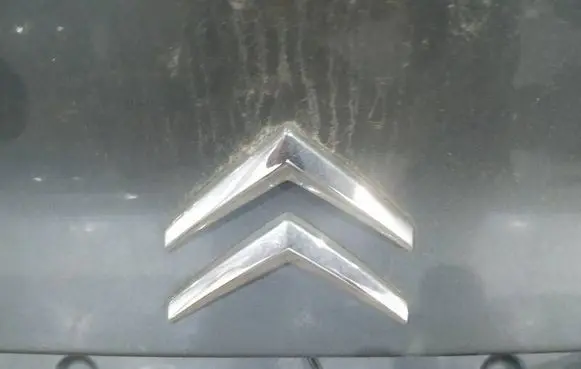 Citroen C5 Manufacturer badge logo/emblem