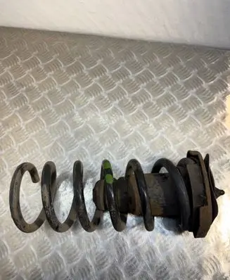 Rear coil spring