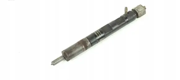 Renault Kangoo I Fuel injector EJBR05101D