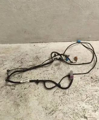 Front door wiring loom