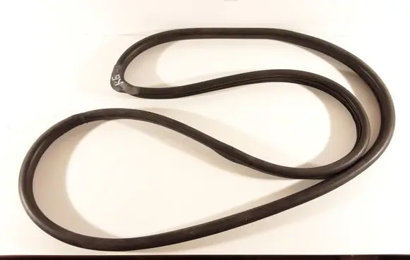 Honda Civic IX Rear door rubber seal (on body) TGUKUHF6