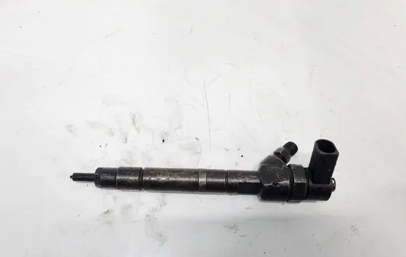 Mercedes-Benz S W220 Fuel injector 0445110096 a6130700587