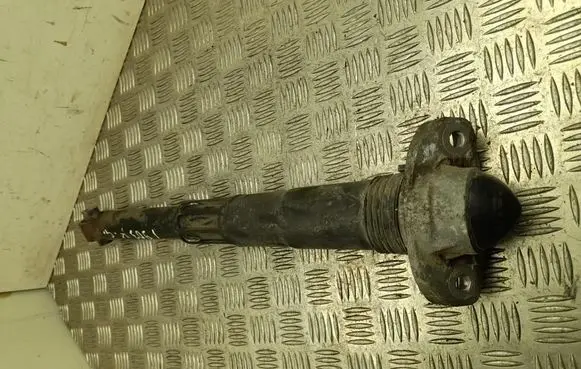 Volkswagen ID.3 Rear shock absorber/damper 1EA512011AB