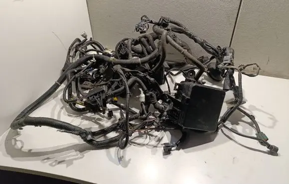 Nissan e-NV200 Other wiring loom 7154745130 243843NA0A0A 24388