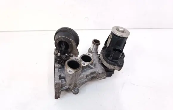 Volkswagen Tiguan EGR valve 0280751016 11725505