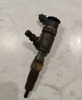Citroen C3 Picasso Fuel injector 0445110340
