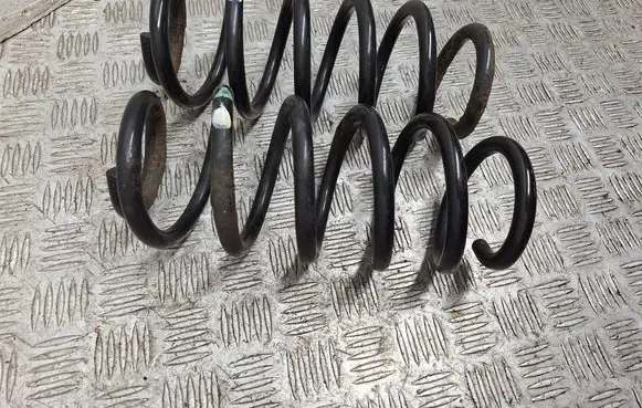 Rear coil spring