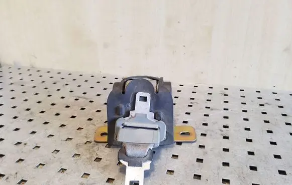 Renault Scenic RX Roof seat belt 