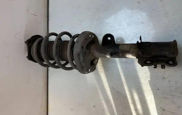 Fiat Doblo Front shock absorber with coil spring 51880839