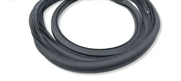 Seat Ateca Front door rubber seal 