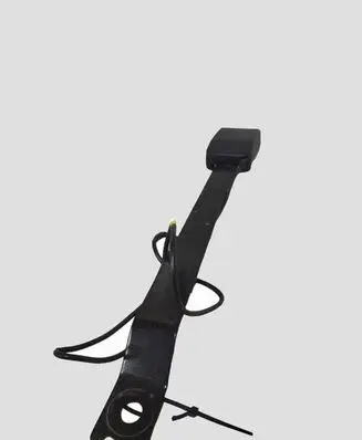 Nissan Qashqai+2 Front seatbelt buckle 86842JD00C