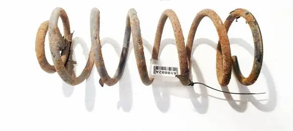 Hyundai Getz Rear coil spring