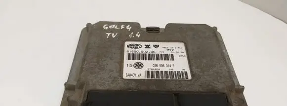 Volkswagen Golf IV Engine control unit/module 036906014P 6160050200