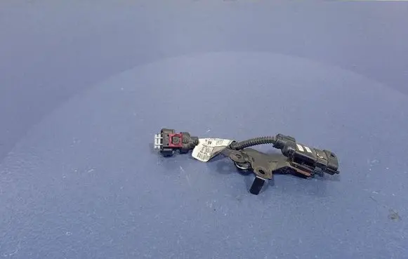Opel Insignia A Other wiring loom 55587135
