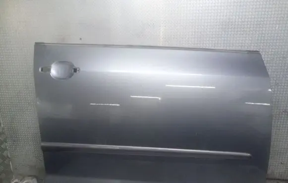 Volkswagen Golf Plus Front door