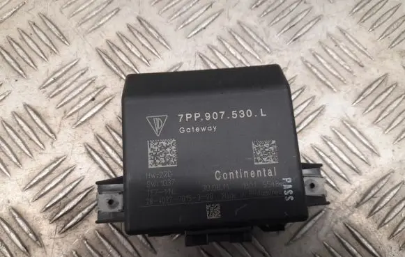 Porsche Cayenne (92A) Gateway control module 7PP907530L