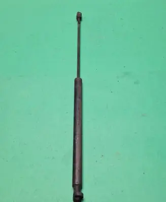 Tailgate/trunk strut/damper