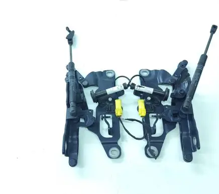 BMW 5 F10 F11 Engine bonnet/hood hinges 7249888 7249887