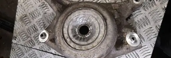 Coil spring mount