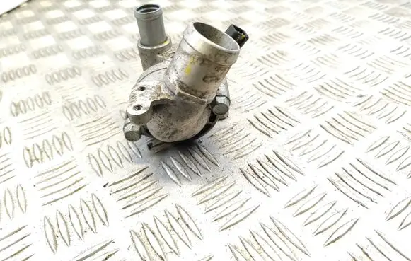 Thermostat/thermostat housing
