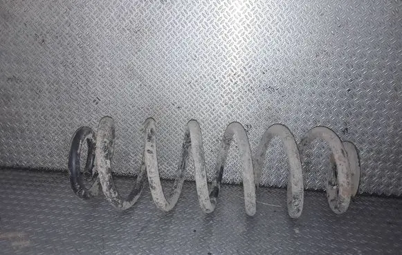 Volkswagen PASSAT B6 Rear coil spring 