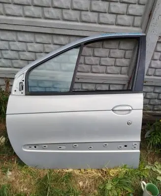Renault Scenic I Front door NV632