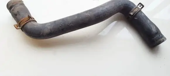 Renault Scenic I Engine coolant pipe/hose
