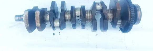 Fiat Ducato Crankshaft 