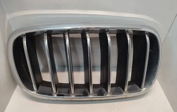 BMW X5 F15 Front bumper upper radiator grill 7316054 51137316054