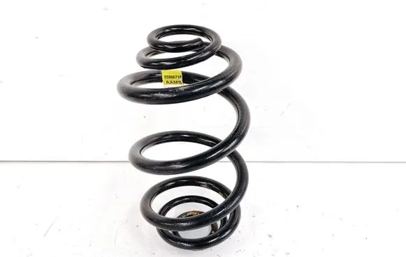 Rear coil spring