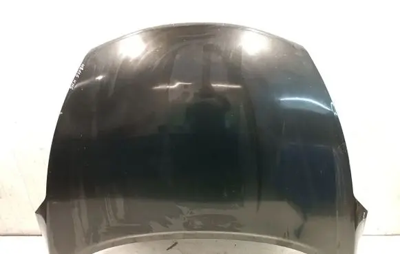Nissan Juke I F15 Engine bonnet/hood 