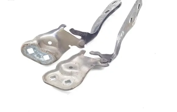 Tesla Model 3 Engine bonnet/hood hinges 