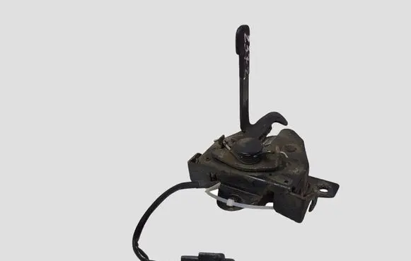 Hyundai Santa Fe Engine bonnet/hood lock/catch 282132B200